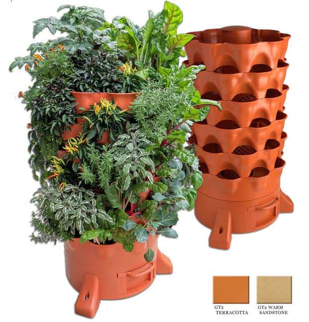 Vertical Gardening Hacks to Increase Your Area